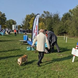 Meet your Posher, Violet